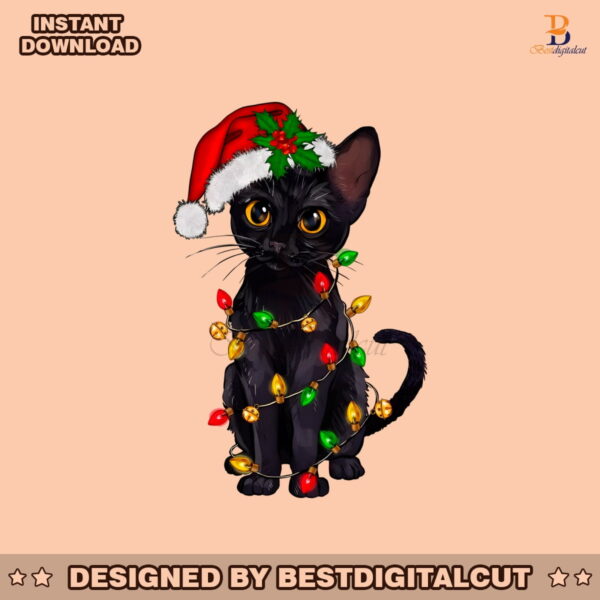 funny-christmas-santa-black-cat-png-sublimation-download