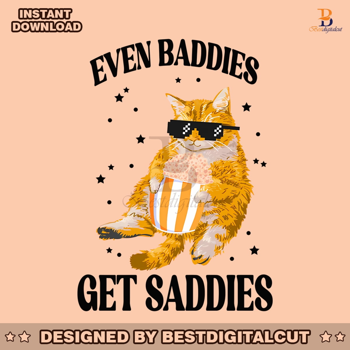 cat-even-baddies-get-saddies-png