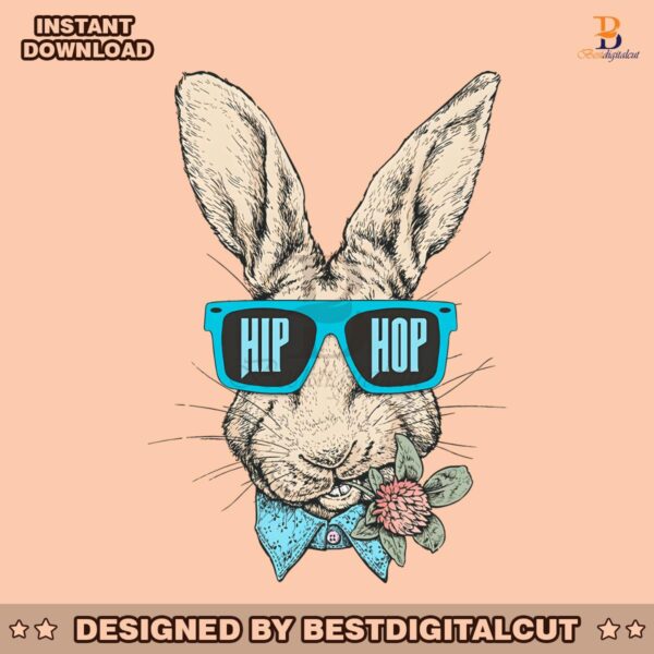 vintage-hip-hop-bunny-glassas-png