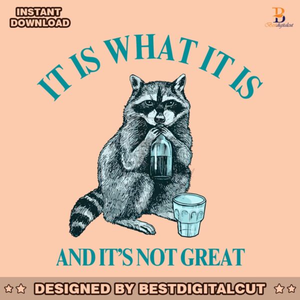 raccoon-meme-it-is-what-it-is-png