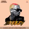 retro-chris-brown-singer-signature-png