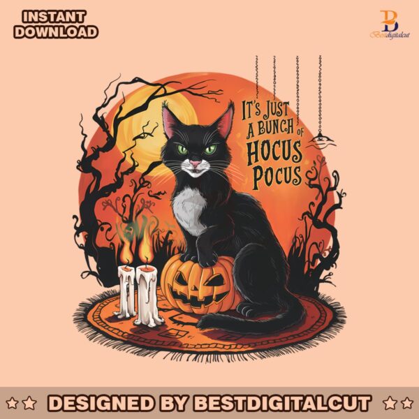 vintage-horror-cat-its-just-a-bunch-of-hocus-pocus-png