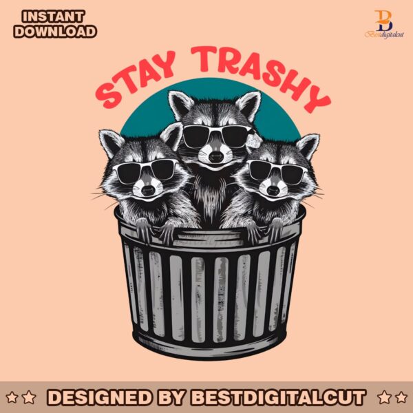 funny-stay-trashy-racoon-meme-png