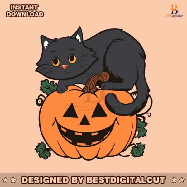 black-cat-pumpkin-fall-halloween-svg