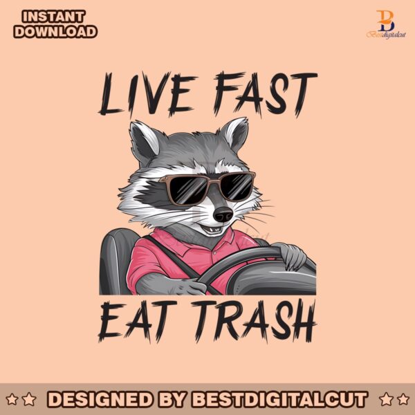 live-fast-eat-trash-raccoon-sarcastic-png