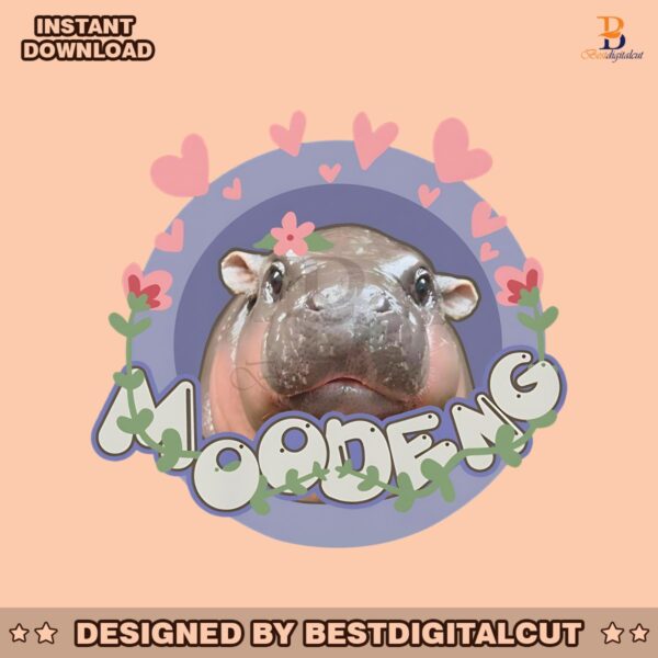 moo-deng-bouncy-pig-in-thailand-png