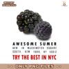 Awesome Summer Try The Best In Nyc Black Raspberry PNG