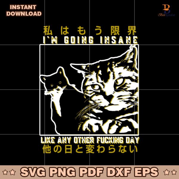 Im Going Insane Like Any Other Fucking Day SVG