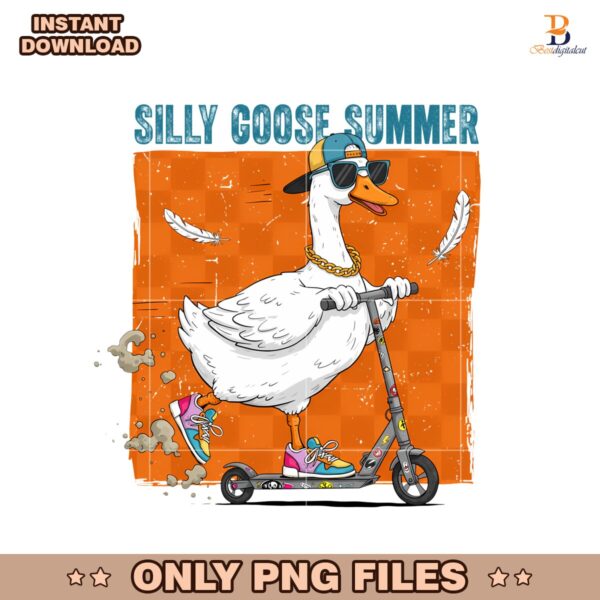 Silly Goose Boy Retro Summer PNG
