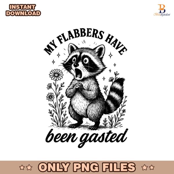 Funny Raccoon Shocked My Flabbers Have Been Gasted Png
